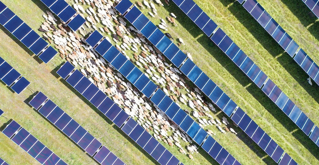 Wasserstoffwirtschaft: Erneuerbare Energien sind günstiger als fossile Brennstoffe