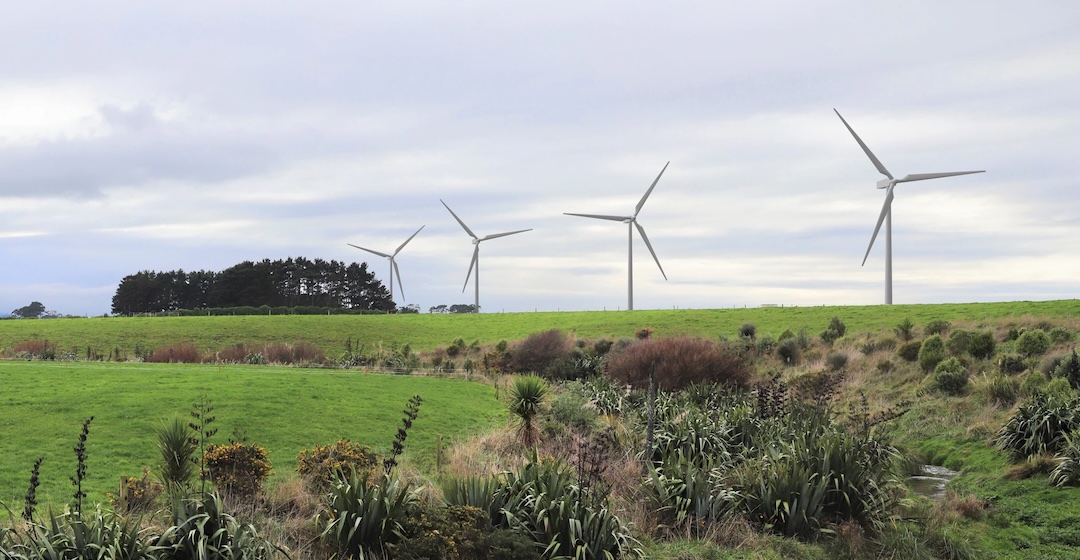 Hiringa sichert Finanzierung für ersten Elektrolyseur auf Neuseeland